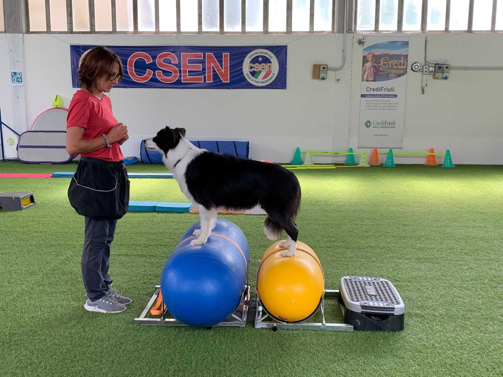 Un border collie in equilibrio su due rulli gonfiabili, accanto all’istruttrice