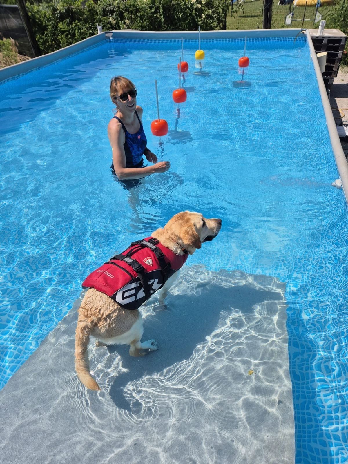 Un retriever dorato con il giubbotto rosso sulla rampa della piscina, l’istruttrice in acqua tra le boe