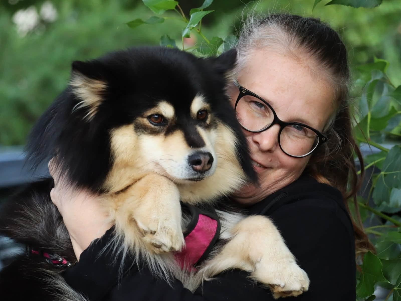 Una socia abbraccia il suo lapphund finlandese nero e fulvo, guancia a guancia