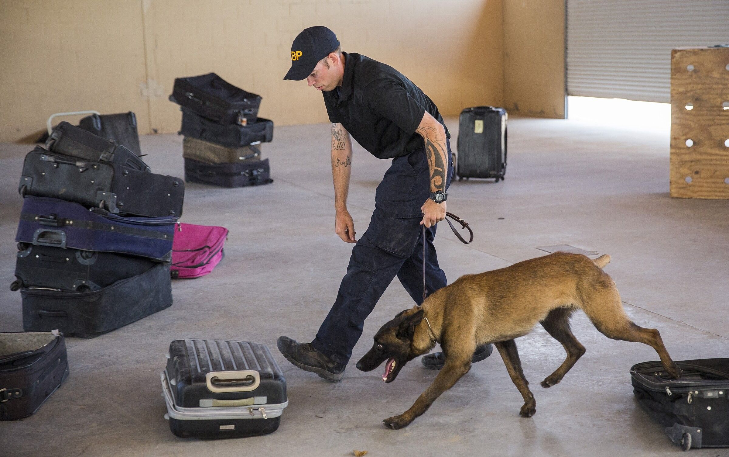 Un malinois al guinzaglio cerca tra valigie sparse sul pavimento di un capannone, seguito dal conduttore